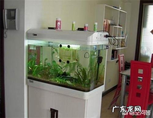 鱼缸摆放位置有哪些讲究？