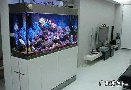 鱼缸摆放位置有哪些讲究?