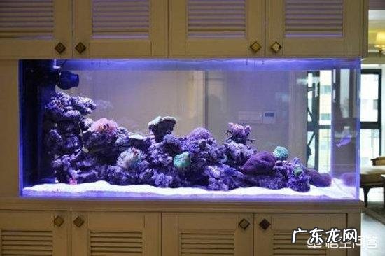 鱼缸摆放位置有哪些讲究?