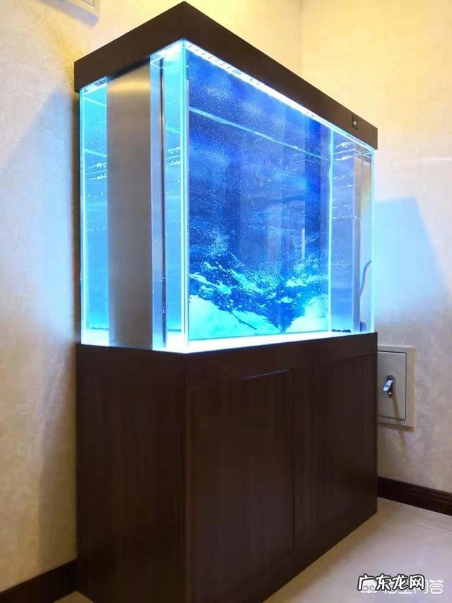 鱼缸摆放位置有哪些讲究?