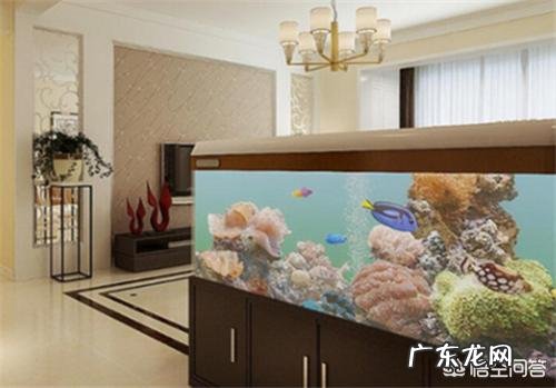 鱼缸摆放位置有哪些讲究？