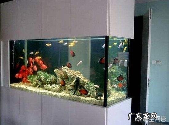 鱼缸摆放位置有哪些讲究?