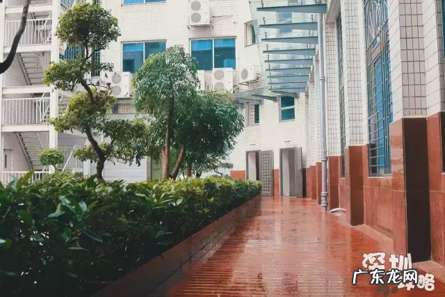 深圳电大官网首页 深圳市广播电视大学地址