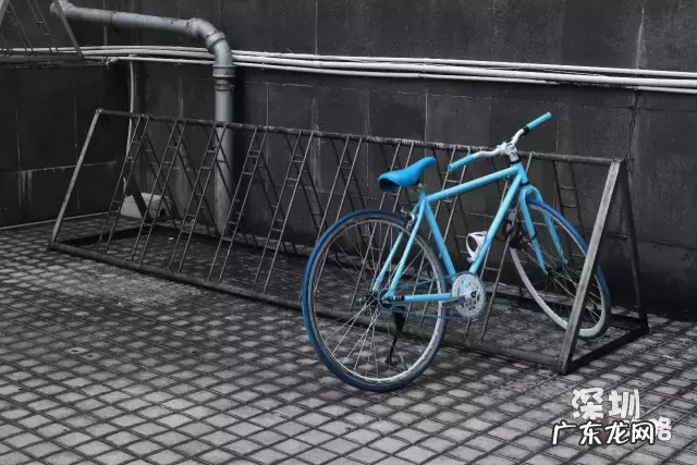 深圳电大官网首页 深圳市广播电视大学地址