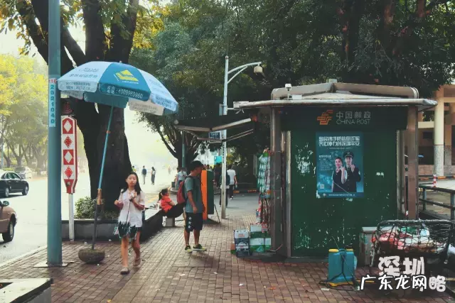深圳电大官网首页 深圳市广播电视大学地址