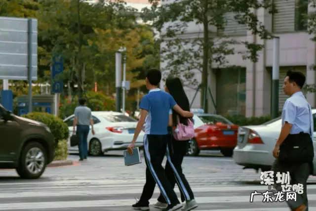 深圳电大官网首页 深圳市广播电视大学地址