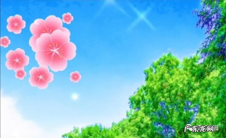 关于安全故事的征文 关于安全的征文800字