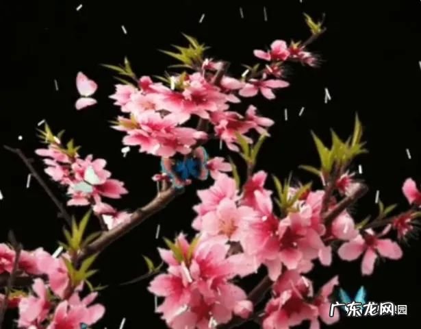 关于安全故事的征文 关于安全的征文800字