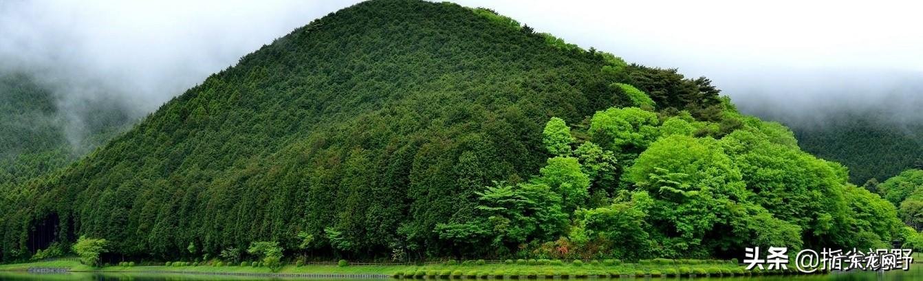 什么是工作能力它与学识有区别吗?