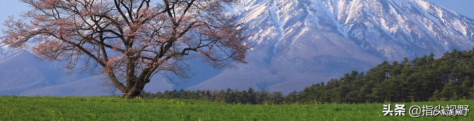 什么是工作能力它与学识有区别吗?