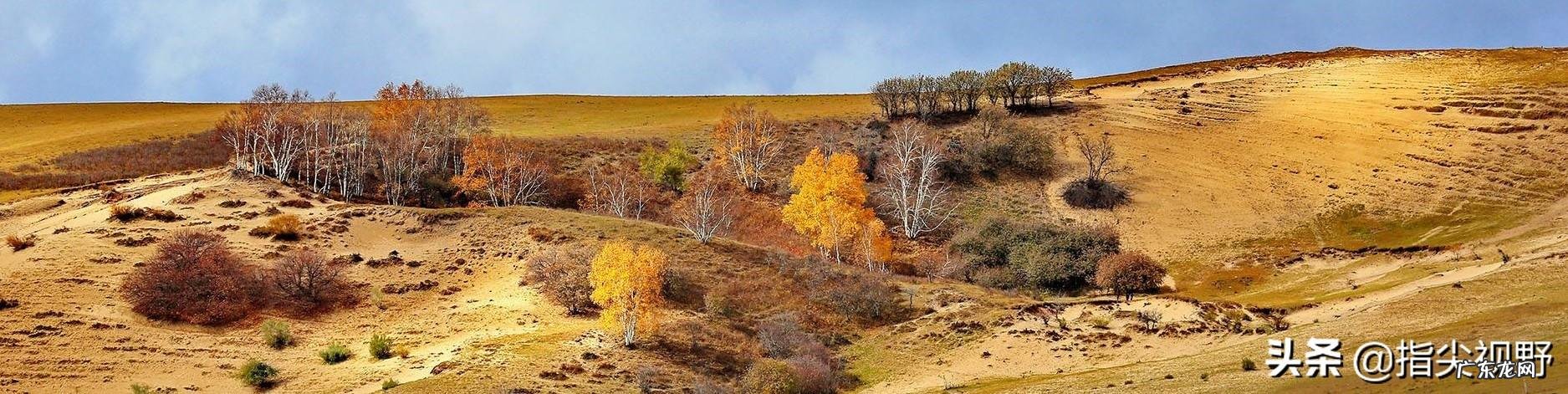 什么是工作能力它与学识有区别吗?