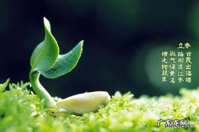 今天立春,农村老人常说“立春之后三不要”,在立春后,哪三件事不能做?