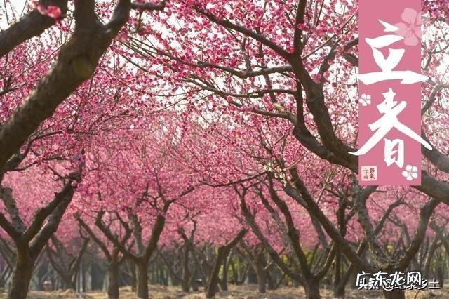 今天立春,农村老人常说“立春之后三不要”,在立春后,哪三件事不能做?