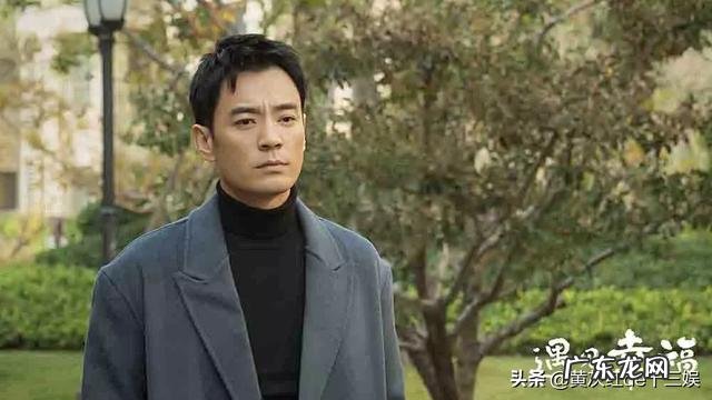 如何评价由蒋欣、李光洁、郭京飞、刘孜主演的电视剧《遇见幸福》？