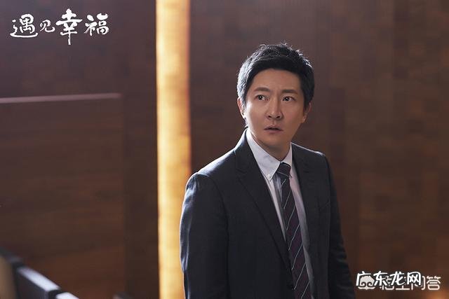 如何评价由蒋欣、李光洁、郭京飞、刘孜主演的电视剧《遇见幸福》？