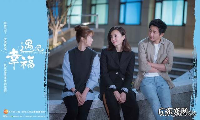 如何评价由蒋欣、李光洁、郭京飞、刘孜主演的电视剧《遇见幸福》？