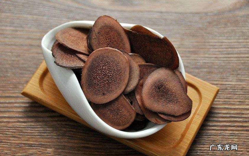 鹿茸有什么作用