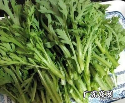 茼蒿生长的适宜温度是怎样的？