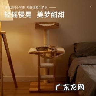 猫爬架可以不买吗 兽牌猫爬架好不好用
