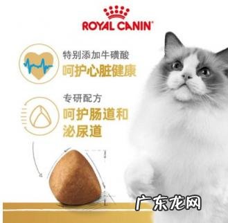 布偶一定要吃贵猫粮吗 皇家布偶猫粮好不好吃