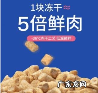 海洋之星猫粮 海洋之星猫粮咋样