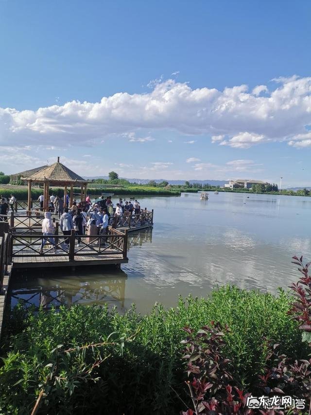 如何寻找自己的职业目标和规划?