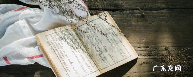 或字多两撇是什么字