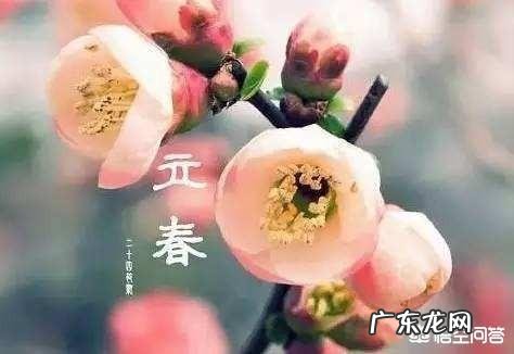 无春年又叫“寡妇年”，2019年两头“无春”是真的吗？为什么会造成两头无春的现象呢？