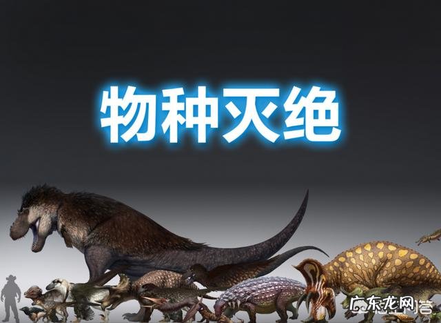 已消失30年的银背鼷鹿是一种怎样的物种?