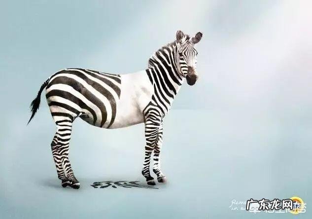 你看过最有创意的广告是哪一个?