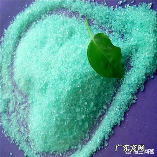 茶花适合什么土壤种植？