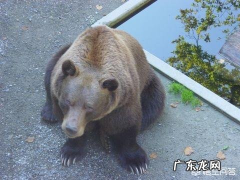 瑞士为何不把首都放在苏黎世或日内瓦等大城市?