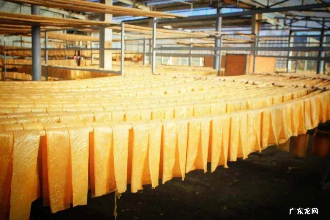 豆腐皮常温保存方法