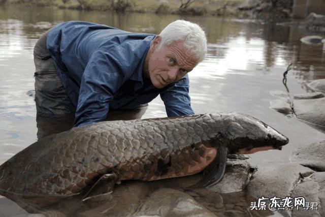 鱼离开水,是缺水被干死的?还是缺氧憋死的?