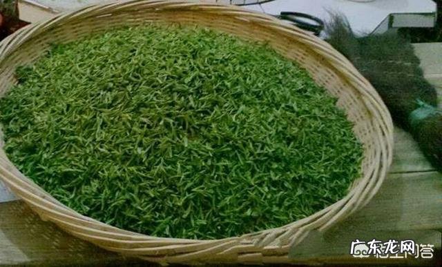 茶叶怎么分辨好茶坏茶?