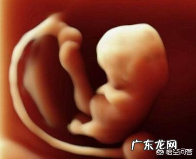 孕妇在生产过程的危险因素有哪些？