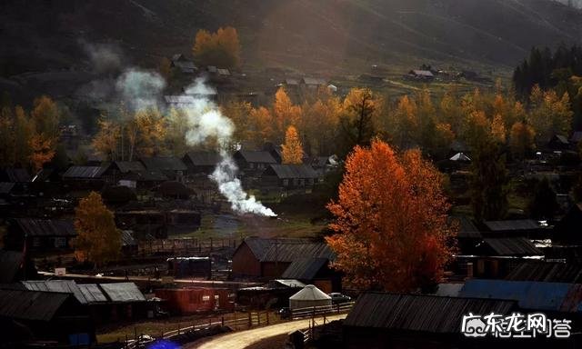 语文课本中哪篇文章最经典？