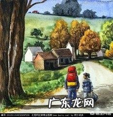 如何在不运动的情况下一周减肥十斤呢?