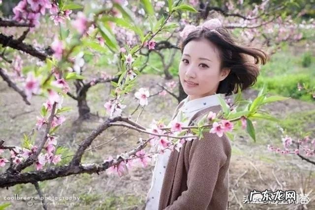 因为相思,相思树引来相思鸟,求对?