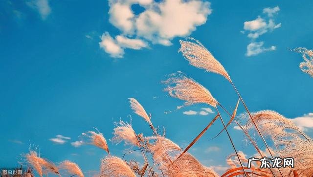 社交能力不行是怎么回事？