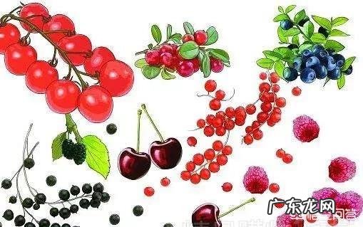 花青素对促进人体健康到底有多大帮助?
