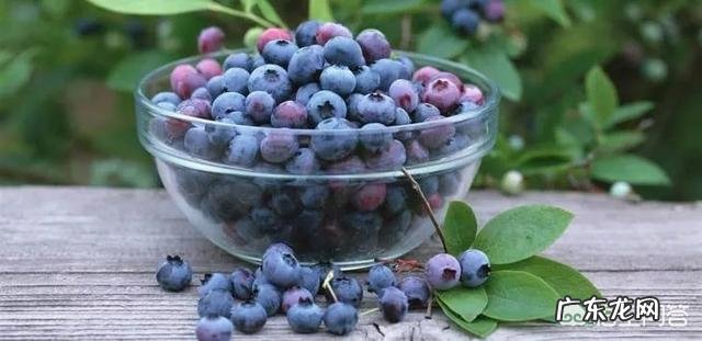 花青素对促进人体健康到底有多大帮助?