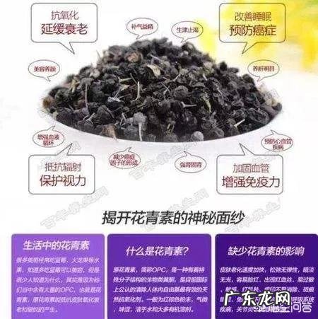 花青素对促进人体健康到底有多大帮助?