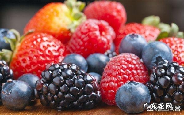 花青素对促进人体健康到底有多大帮助?