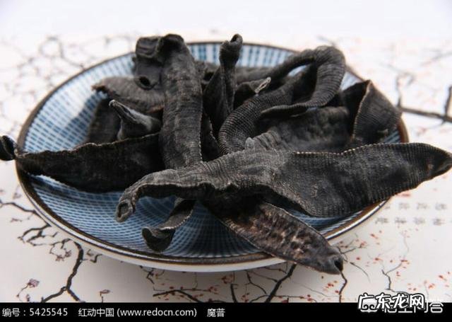 蚂蝗的药用价值有哪些?