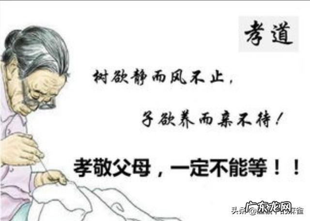 “如今社会,子欲养而亲不待,是人生一大悲哀”这句话你怎么看?