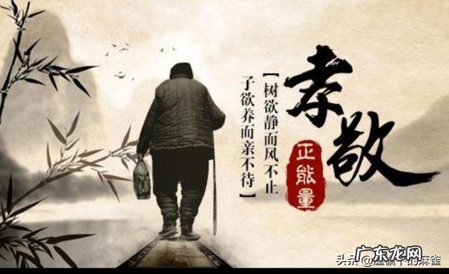 “如今社会,子欲养而亲不待,是人生一大悲哀”这句话你怎么看?