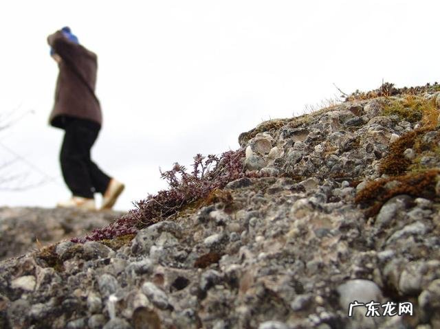 19岁已经怀孕,呆在家一个月吃家里的,男朋友每次晚上会来,父母却不高兴了,为什么?