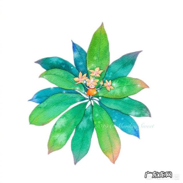 你收集了哪些关于夏天的句子?