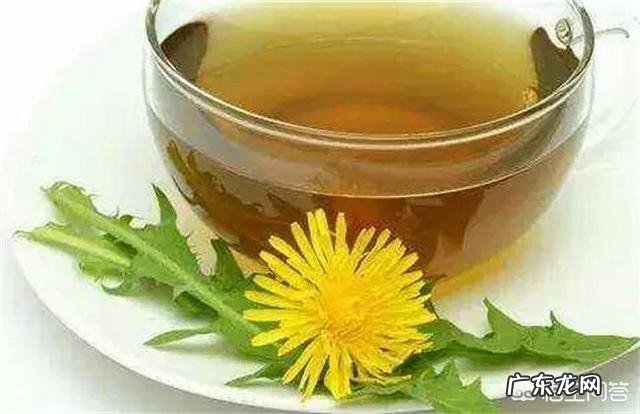 怎么区分曲曲菜和蒲公英?